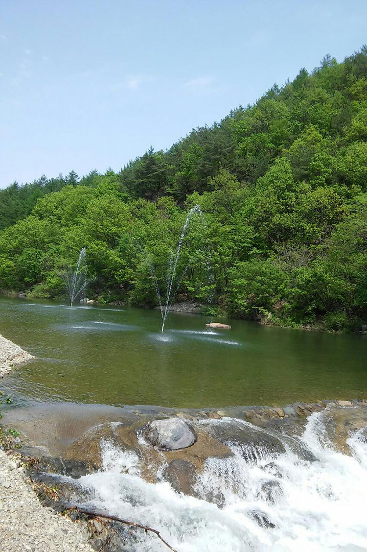 방가로쉼터 사진