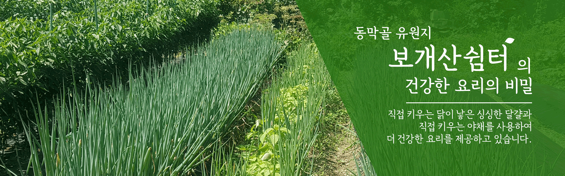 보개산쉼터에 방문해주셔서 감사합니다.