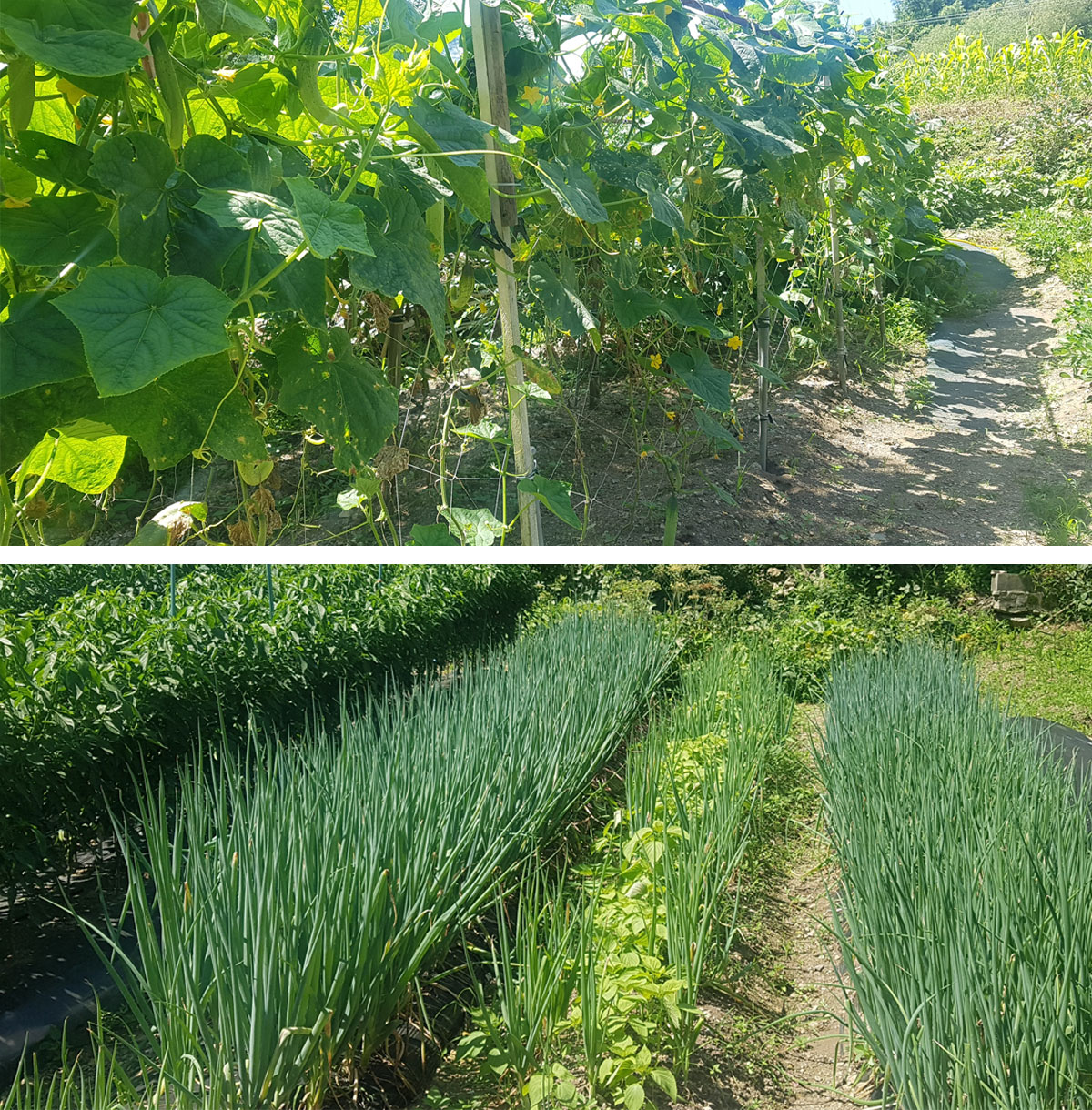 부대시설 이미지